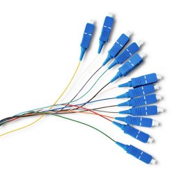 Qoltec 12 x Pigtail światłowodowy SC/UPC | Singlemode | G652D | 2m