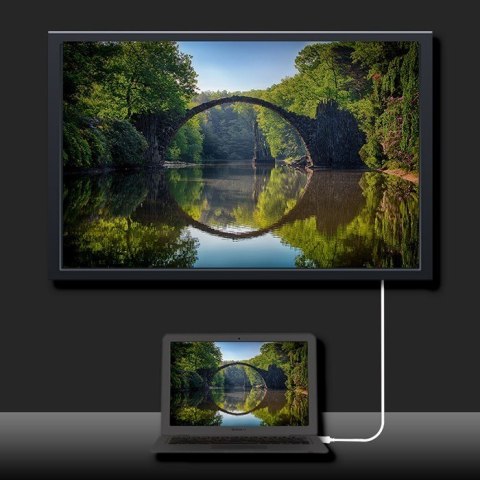 Qoltec Kabel USB 3.1 typ C męski/ VGA męski | FULL HD | Alternate mode | 1m Qoltec Kabel USB 3.1 typ C męski/ VGA męski | FULL HD | Alternate mode | 1m