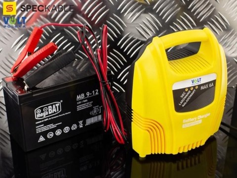 Prostownik automatyczny 12V MOBI 6A