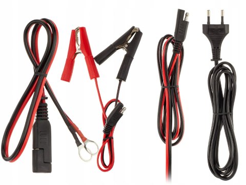 Prostownik automatyczny ładowarka 12/24V 10A LCD