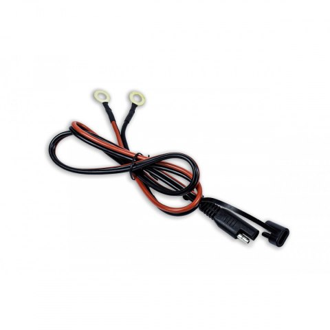 Prostownik do akumulatorów LiFePO4 20A Prostownik do akumulatorów LiFePO4 20A