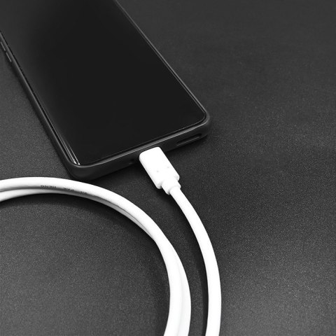 Qoltec Kabel USB 3.1 typ C męski | USB 3.1 typ C męski | 1m | Biały Qoltec Kabel USB 3.1 typ C męski | USB 3.1 typ C męski | 1m | Biały