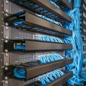 Qoltec Zestaw montażowy M16 do szaf Rack | 50szt.