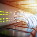 Qoltec Narzędzie do cięcia i zaciskania kabli Ethernet 8P 6P