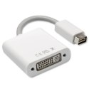 Qoltec Adapter Mini DVI męska | DVI (24+5) żeńska |0.17m Qoltec Adapter Mini DVI męska | DVI (24+5) żeńska |0.17m