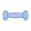 Hantelki żeliwne neoprenowe HEX 2x1kg, REBEL ACTIVE