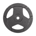 Obciążenie żeliwne zestaw 2x10kg, otwór 31mm, talerz z uchwytami, REBEL ACTIVE