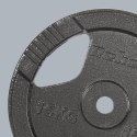 Obciążenie żeliwne zestaw 2x15kg, otwór 31mm, talerz z uchwytami, REBEL ACTIVE