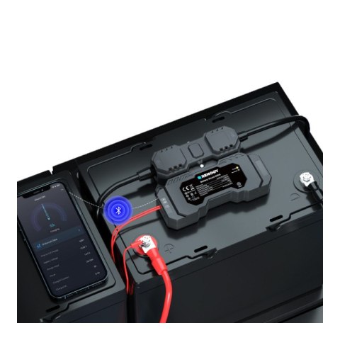 Battery Shunt Renogy 300 BT