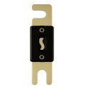 Bezpiecznik Solvian ANL-fuse 100A/100V
