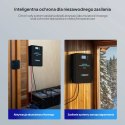 Inwerter Ładowarka Renogy Pro 12V 3000W HF