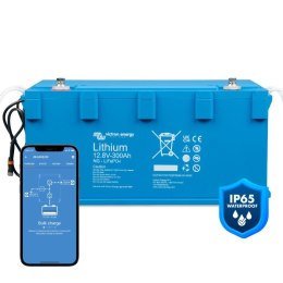 LiFePO4 Battery 12,8V/300Ah NG