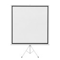 Ekran projekcyjny stojący Cabletech 200x200cm 100"