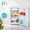 Lodówka TEESA z zamrażarką , jednodrzwiowa , podblatowa, 92 L