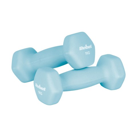Hantelki żeliwne neoprenowe HEX zestaw 12kg ze stojakiem (2x1kg+2x2kg+2x3kg), REBEL ACTIVE
