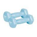 Hantelki żeliwne winylowe HEX 2x1kg, REBEL ACTIVE