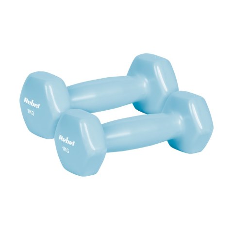 Hantelki żeliwne winylowe HEX 2x1kg, REBEL ACTIVE