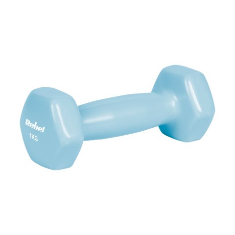 Hantelki żeliwne winylowe HEX 2x1kg, REBEL ACTIVE