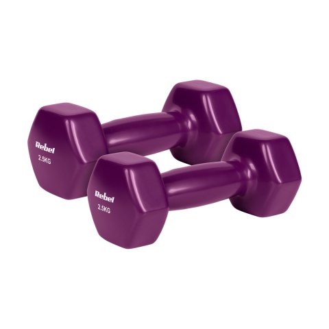 Hantelki żeliwne winylowe HEX 2x2.5kg, REBEL ACTIVE