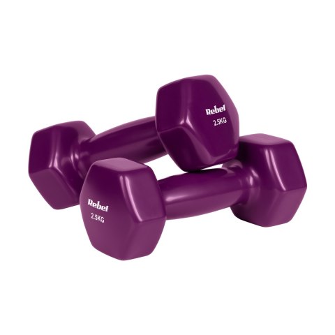 Hantelki żeliwne winylowe HEX 2x2.5kg, REBEL ACTIVE