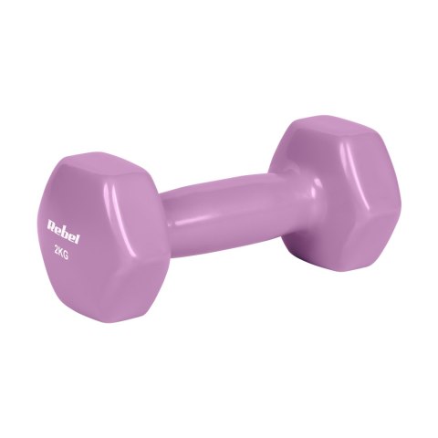 Hantelki żeliwne winylowe HEX 2x2kg, REBEL ACTIVE