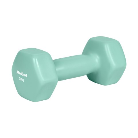 Hantelki żeliwne winylowe HEX 2x3kg, REBEL ACTIVE