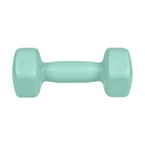 Hantelki żeliwne winylowe HEX 2x3kg, REBEL ACTIVE