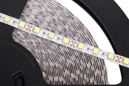 Sznur diodowy 25m Rebel (60x5050SMD/m), zimny biały, 12V